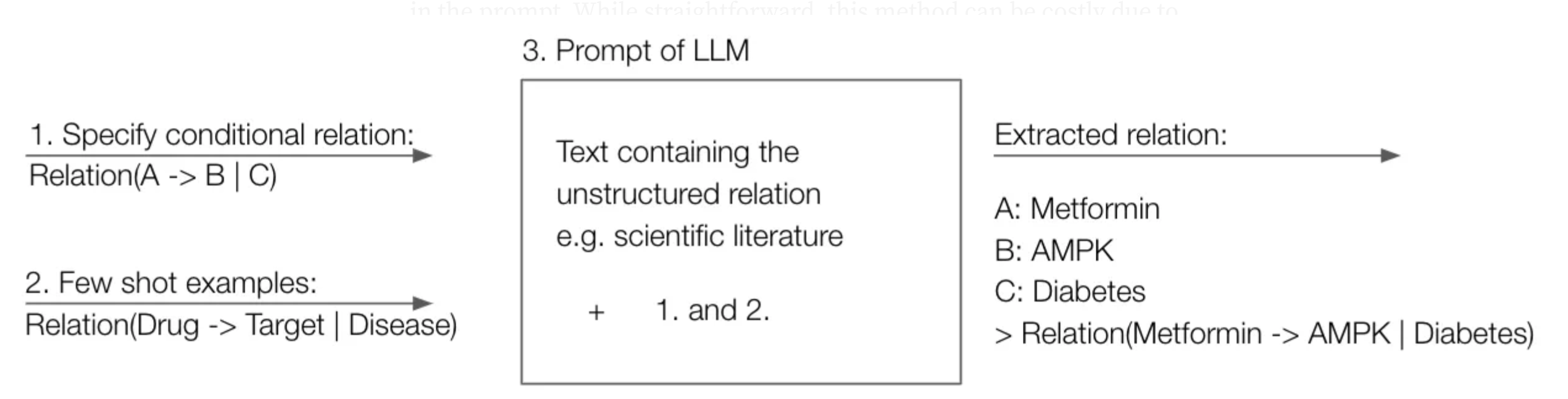 Conditional Relation Extraction Workflow